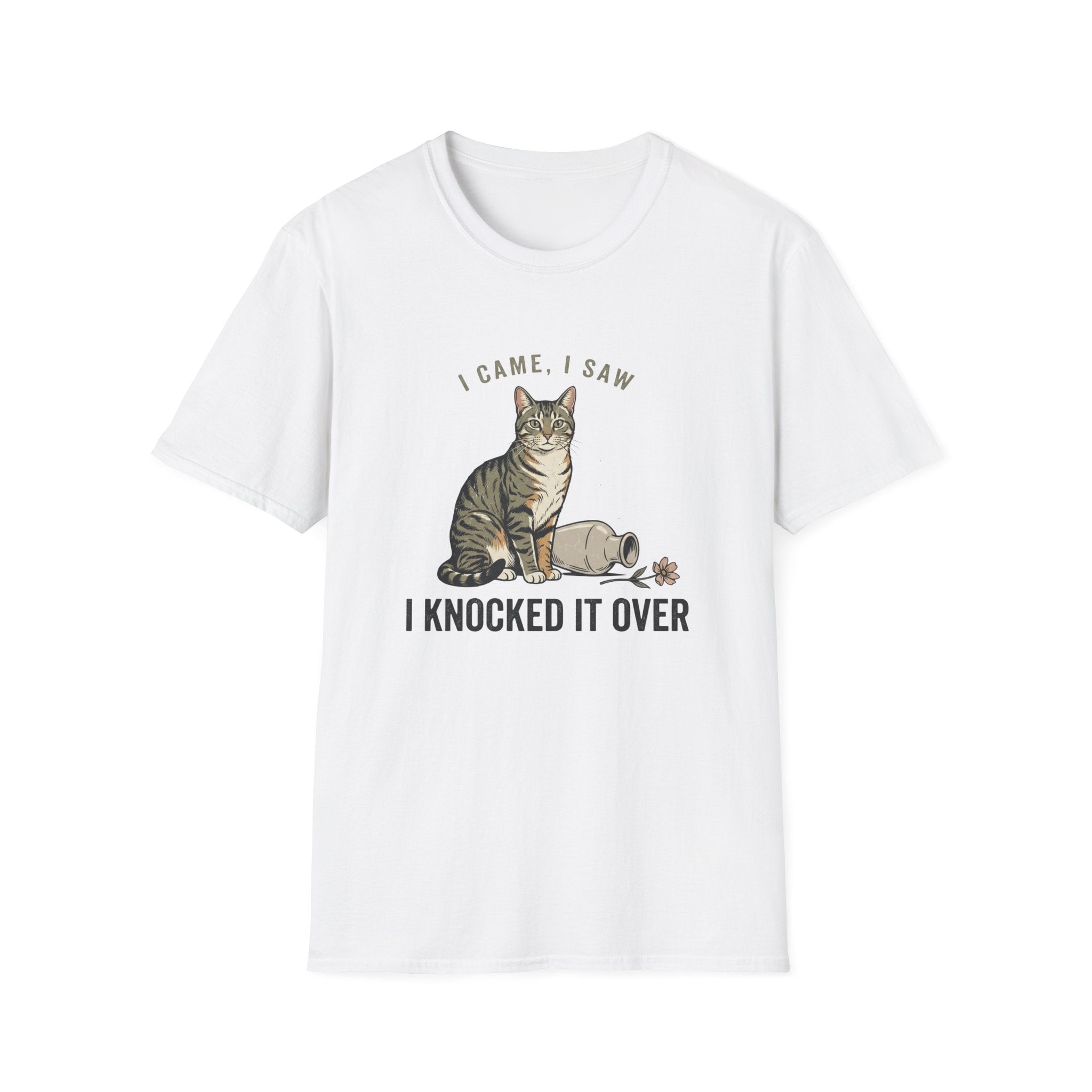 I Came I Saw I Knocked It Over T-Shirt