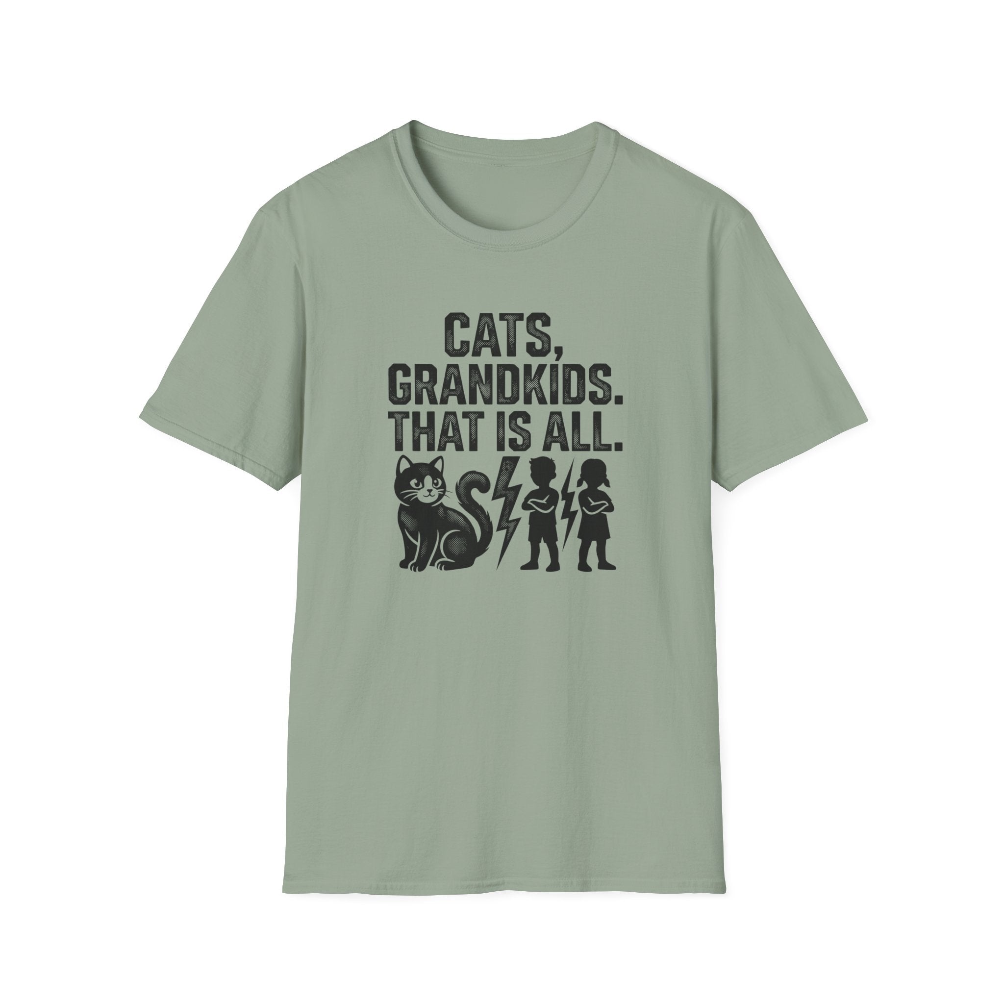 Cats Grandkids That Is All T-Shirt